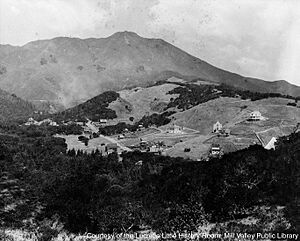 General-MV-views-c1900