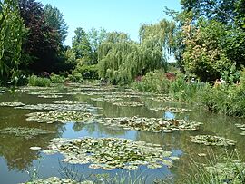 Water lilies in Claude Monet's garden in Giverny, from which he created his Water Lilies series.