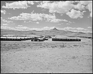 Heart Mountain Relocation Center, Heart Mountain, Wyoming. Looking west over the Heart Mountain Rel . . . - NARA - 538782