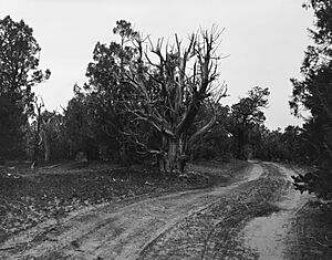 Hole-in-the-Rock Trail