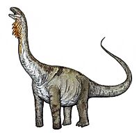 Huabeisaurus allocotus.jpg