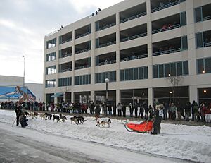 Iditarod in Anchorage Alaska