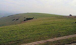 Iford Hill from Swanborough Hill - geograph.org.uk - 1143782