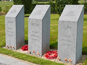 Irish Peace Park, the three Irish Divisions