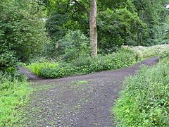 Junction of Paths on Corstorphine Hill - geograph.org.uk - 1400561