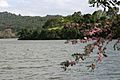 Lago Patillas, a man-made reservoir in Patillas, Puerto Rico