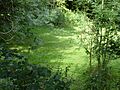 Lingwood Meadows 3