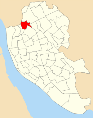 Liverpool County (2023 ward).svg