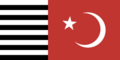 Majlis-e-Ahrar-ul-Islam Flag