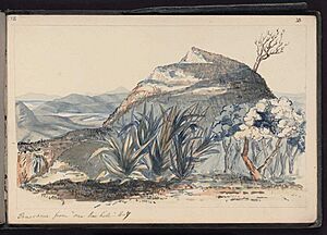 Maungakiekie One Tree Hill, 1845