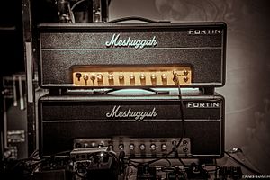 Meshuggah 2016 Gear Fortin Amp