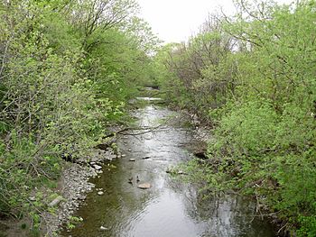 Mimico Creek from Bloor.jpg