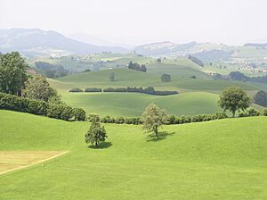 Moraenenlandschaft Menzingen