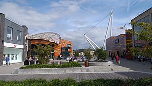 Newport Friars Walk View