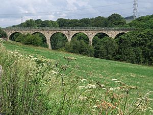Oxspring - Viaduct (Geograph-2519542-by-Dave-Bevis)