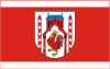 Flag of Słubice