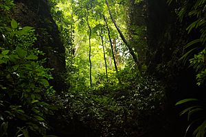 Parque Nacional Cueva de la Quebrada del Toro