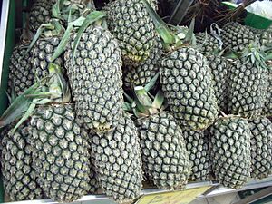 Pineapples