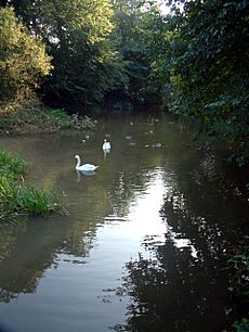 Quy Water, Stow-cum-Quy, CB5 - geograph.org.uk - 68818