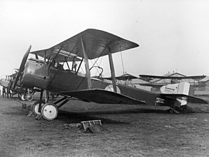 RAF Sopwith 1 1-2 Strutter