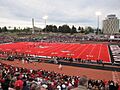RedTurf1