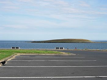 Red Island Car Park with view of Colt Island - geograph.org.uk - 491579.jpg