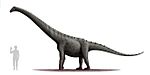Rinconsaurus test 2
