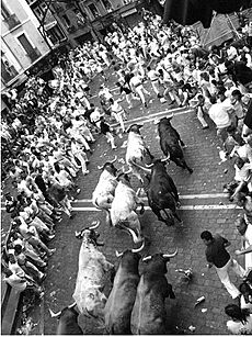 Sanfermines Vaquillas Pamplona 05