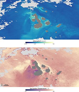 Sea surface temperature & chlorophyll concentrations off the Galapagos archipelago