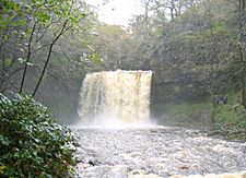 Sgwd yr Eira in full flow - geograph.org.uk - 70398