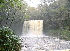 Sgwd yr Eira in full flow - geograph.org.uk - 70398
