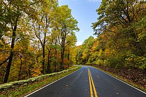 Skyline Drive in the Fall (21852619608)