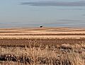 Slater WY