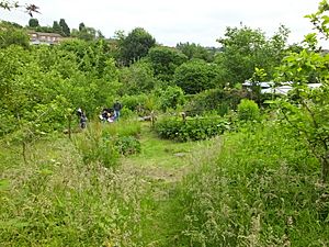 Community orchard Facts for Kids