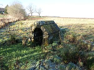 St Peter's Well, Houston - view from the east.jpg