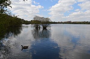 Stockers Lake 5