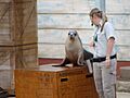 Taronga Zoo (6181959003)