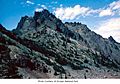 The Needles and Mount Clark, Olympic National Park, date unknown