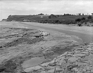 The beach at Mairangi Bay, 1912 (cropped)