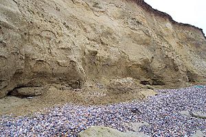 The eroding cliffs of Reculver Country Park - geograph.org.uk - 6930