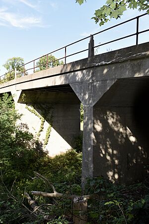 Thomson Road-Air Line Railroad Bridge
