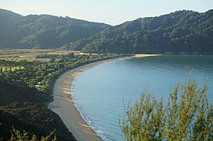 Totaranui Beach late afternoon