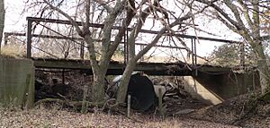 Turkey Creek Bridge 4