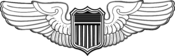 US Air Force Pilot Badge.png