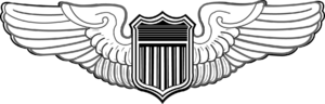 US Air Force Pilot Badge