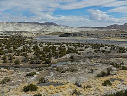 Valle del río Lauca, Región de Arica y Parinacota.JPG