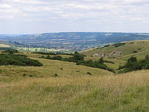 View across Cleeve Common - geograph.org.uk - 38060