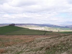 View of Swinden Limestone Quarry, Skelterton Hill to the left - geograph.org.uk - 419470