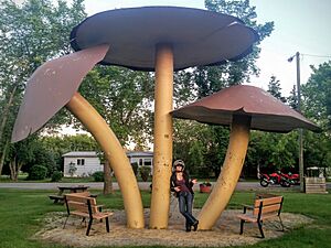 Vilna Mushrooms