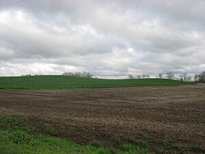 Ware Mounds and Village Site